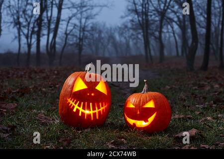 Halloween citrouilles brûlantes dans la forêt la nuit, concept de vacances Banque D'Images