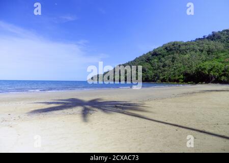 Ombre de palmiers à noix de coco sur la plage de Cow Bay, parc national de Daintree, Queensland, Australie Banque D'Images