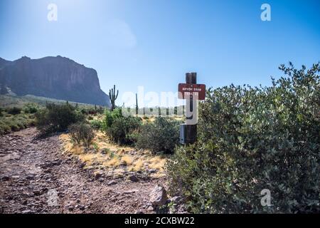 Apache Junction, AZ, États-Unis - 19 octobre 2019 : le Siphon Draw Trailhead Banque D'Images