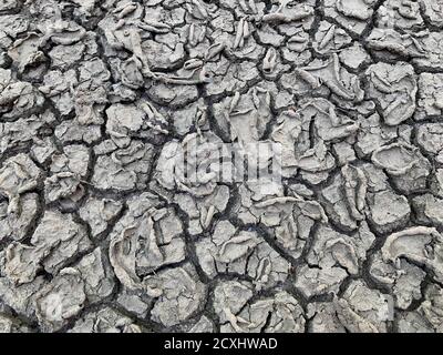 Texture du sol fissurée. Terre sèche. Fond de terre désertique. Motifs inhabituels sur la boue grise séchée. Terre fissurée pendant une sécheresse. Banque D'Images