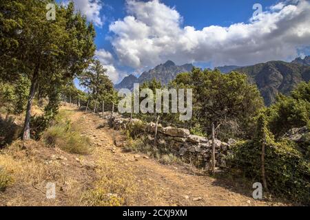 Sentier de randonnée dans les gorges de l'Asco avec vue sur la montagne Cinto en haute Corse sur l'île corse, France Banque D'Images