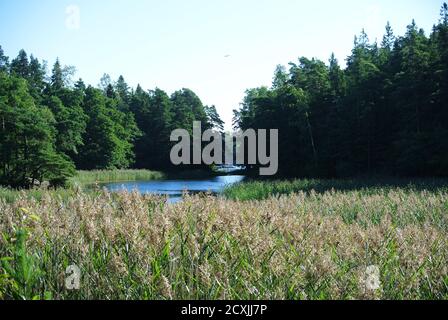 kirkkonummi Camping, Finlande Banque D'Images