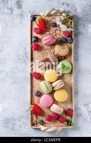 Variété de macarons français doux et colorés au dessert avec différents macarons garnitures servies sur un plateau en terre cuite avec fleurs printanières et baies sur gris Banque D'Images