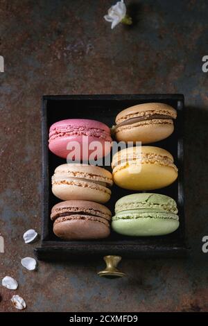 Variété de français colorés dessert sucré macaron macarons avec différents fourrages servis dans boîte en bois noir avec fleurs de printemps sur la texture sombre ba Banque D'Images