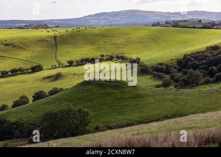 Robins Tump and the Wilderness, Shropshire Hills, près de Church Stretton, Shropshire Banque D'Images