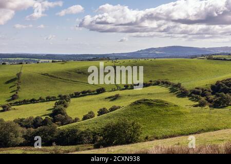 Robins Tump and the Wilderness, Shropshire Hills, près de Church Stretton, Shropshire Banque D'Images