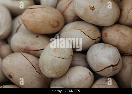 fond de nourriture de la ronde ovale macadamia noix brun beige close vue de dessus Banque D'Images
