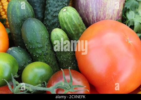 nourriture fond légumes tomates rouge jaune concombres vert carottes orange maïs pommes de terre betteraves chou Banque D'Images