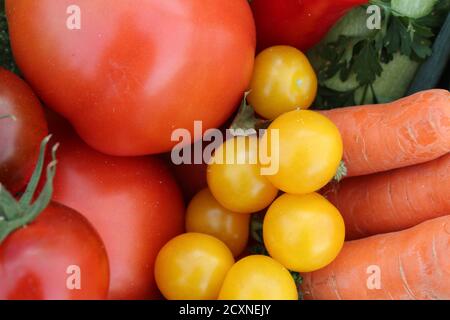 nourriture fond légumes tomates rouge jaune concombres vert carottes orange maïs pommes de terre betteraves chou Banque D'Images