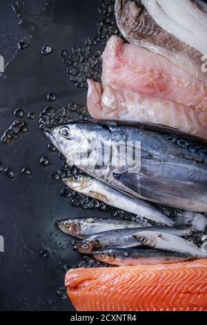 Variété de matières de poisson frais. Le thon et le hareng entier, filet de saumon, morue, poisson rouge sur de la glace concassée sur arrière-plan foncé métal humide. Vue de dessus avec l'espace. Banque D'Images