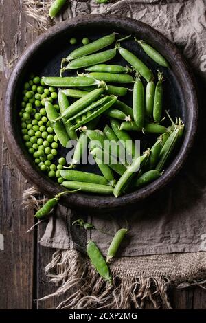 Les jeunes gousses de pois vert bio et les pois dans le bac en terre cuite de vieilles planches en bois sombre d'un sac fond textile. Vue de dessus avec l'espace. La récolte, Banque D'Images