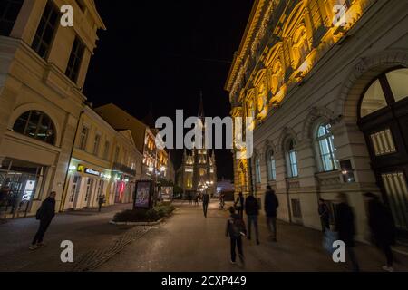 NOVI SAD, SERBIE - 18 NOVEMBRE 2019 : les personnes marchant la nuit avec un mouvement de vitesse floue près de l'église du nom de Marie, ou cathédrale catholique Novi Sad Banque D'Images