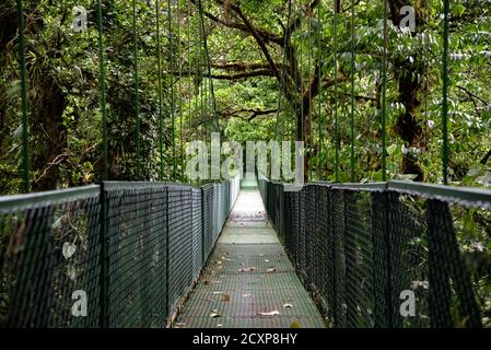 Pont suspendu de la forêt nuageuse de Monteverde, Costa Rica, jungle nuageux vide, pont en chaîne de suspension au-dessus et à travers la forêt humide humide humide Banque D'Images