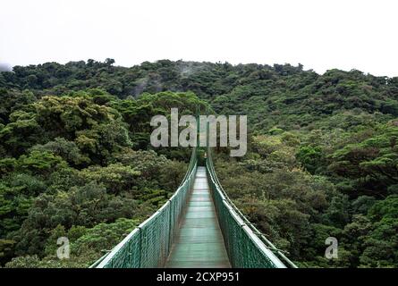 Pont suspendu de la forêt nuageuse de Monteverde, Costa Rica, jungle nuageux vide, pont en chaîne de suspension au-dessus et à travers la forêt humide humide humide Banque D'Images