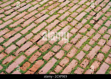 Pavés bruns avec de l'herbe entre les carreaux. Banque D'Images