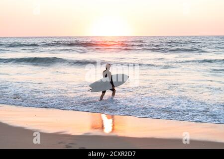 surfeur homme avec la planche dans ses bras entrant dans le mer au coucher du soleil Banque D'Images