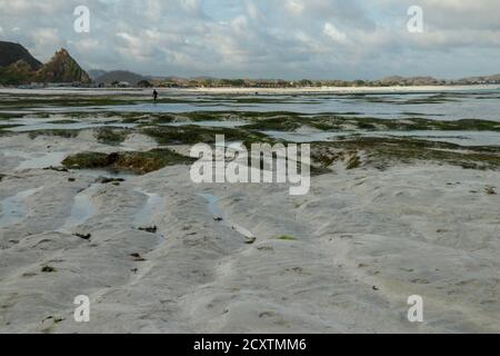 Motifs faits par des bassins de marée basse sur la plage de Tanjung aan, Lombok, Indonésie Banque D'Images