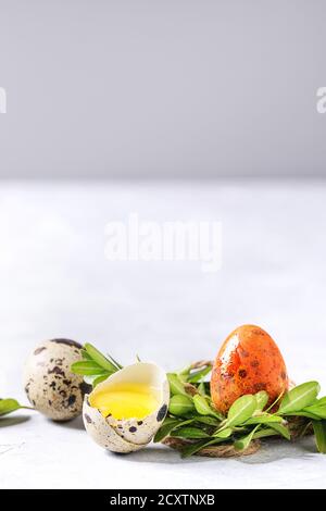 Carte de vœux de Pâques colorés avec de l'orange-jaune des oeufs de cailles dans green nest de vitellus et shell over white background texture. Close up, copy space Banque D'Images