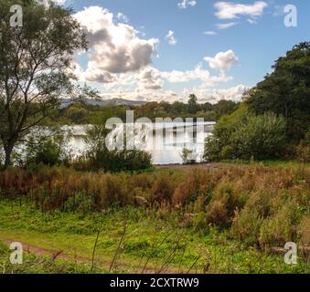 Duddingston Loch est une réserve naturelle de la faune à Édimbourg, en Écosse, au Royaume-Uni Banque D'Images