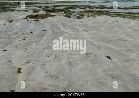 Motifs faits par des bassins de marée basse sur la plage de Tanjung aan, Lombok, Indonésie Banque D'Images