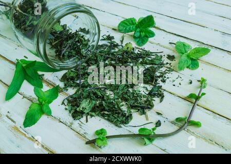 Menthe maison séchée dans un pot et feuilles de menthe fraîche sur fond blanc. Banque D'Images