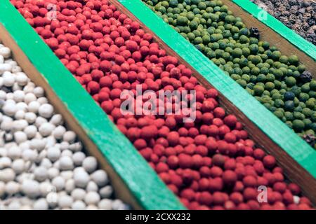 grains de poivre dans quatre couleurs différentes blanc, rouge, vert et noir - fond de nourriture. Banque D'Images