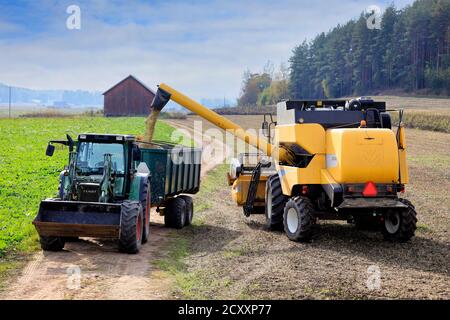 La moissonneuse-batteuse New Holland CSX7040 décharge le gros haricot récolté sur la remorque de tracteur Fendt lors d'une belle journée d'automne. Sauvo, Finlande. 26 septembre 2020. Banque D'Images