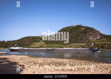 Drachenfels colline avec château et ruine Drachenburg au-dessus de Koenigswinter, Rhin, Rhénanie-du-Nord-Westphalie, Allemagne. Drachenfels mit Schloss Drachenb Banque D'Images