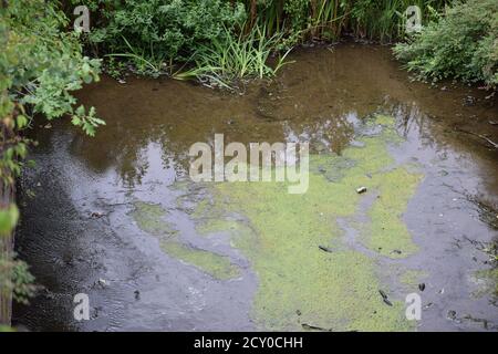 Lac réservoir Heilbachsee Banque D'Images