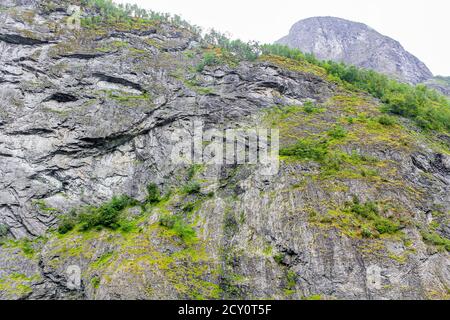 De grandes roches de la texture des falaises avec des arbres à Aurlandsfjord Sognefjord en Norvège. Banque D'Images