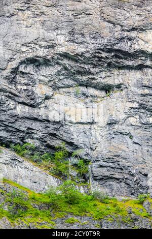 De grandes roches de la texture des falaises avec des arbres à Aurlandsfjord Sognefjord en Norvège. Banque D'Images