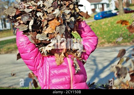 jeune fille jouant dans un tas de feuilles Banque D'Images