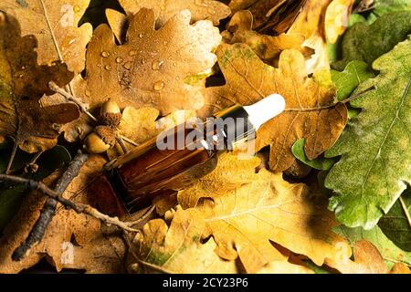 Composition créative du produit de beauté d'automne. Belles feuilles d'automne et Rose Quartz visage rouleau de Jade avec sérum. Outil de massage pour le visage et le corps. Flat lay, vue de dessus, espace de copie. Banque D'Images