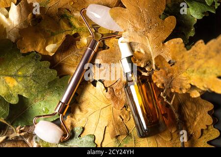 Composition créative du produit de beauté d'automne. Belles feuilles d'automne et Rose Quartz visage rouleau de Jade avec sérum. Outil de massage pour le visage et le corps. Flat lay, vue de dessus, espace de copie. Banque D'Images