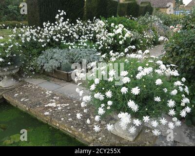 La palette discrète du jardin blanc, l'une des chambres du jardin de la Maison Bourton, crée un paysage serein de fleurs romantiques. Banque D'Images