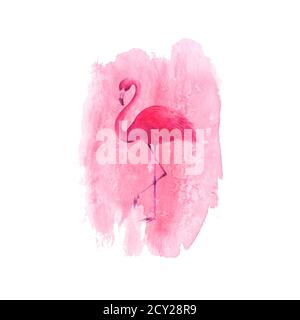 Flamingo sur fond rose aquarelle dessiné à la main. Oiseau exotique tropical rose flamango isolé sur fond blanc. Filigrane d'aquarelle dessiné à la main Banque D'Images