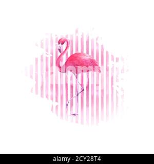 Flamingo sur fond rose aquarelle à pois dessinés à la main. Oiseau exotique tropical rose flamango isolé sur fond de rayures. Illustrateur dessiné à la main Banque D'Images