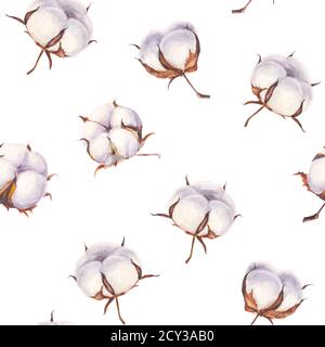 Coton fleur Eco bourgeons boules sans couture motif. Aquarelle fond de boules de coton dessiné à la main. Illustration botanique vintage sur fond blanc. F Banque D'Images