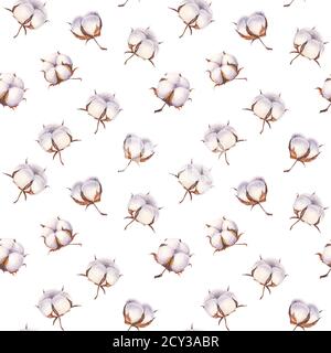Coton fleur Eco bourgeons boules fond. Motif aquarelle de boules de coton sans coutures dessinées à la main. Illustration botanique vintage sur fond blanc. F Banque D'Images
