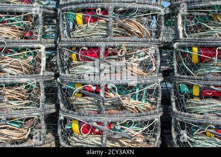 Cages commerciales de pêche au crabe avec bouées rouges et jaunes empilées sur la station d'accueil Banque D'Images