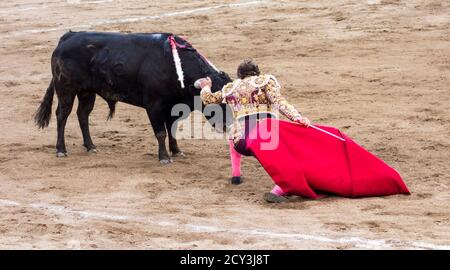 Ambato, ÉQUATEUR - Dec 15, 2015 - Torero stares down bull au cours de Carnaval Banque D'Images