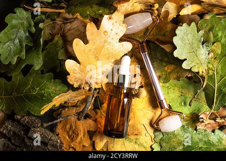 Composition créative du produit de beauté d'automne. Belles feuilles d'automne et Rose Quartz visage rouleau de Jade avec sérum. Outil de massage pour le visage et le corps. Flat lay, vue de dessus, espace de copie. Banque D'Images