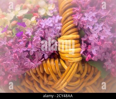 ANNÉES 1990 GROS PLAN DE FLEURS LILAS ET FLEURS DE POMME EN OSIER MISE AU POINT DOUCE DU PANIER - PARFUM PET001 HARS KF30334 Banque D'Images