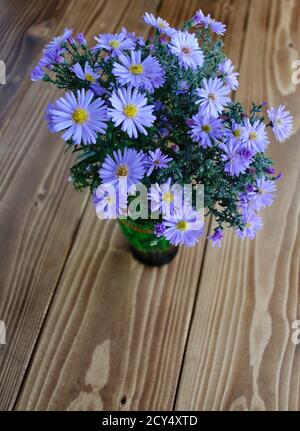 Plan vertical de fleurs d'aster dans un vase Banque D'Images