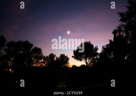 Photographie d'un beau coucher de soleil d'hiver avec des arbres silhouettés et un ciel orange et violet et une pleine lune. Banque D'Images