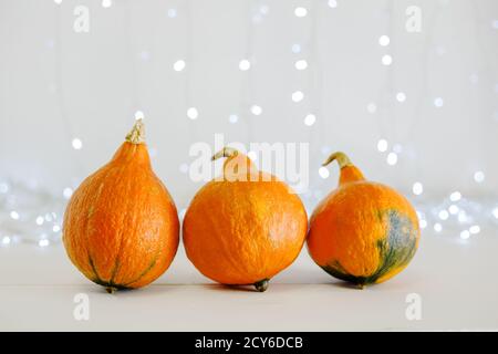Citrouilles sur fond blanc avec lumières. Bonne fête d'Halloween, invitation, fête. Concept de décorations d'Halloween. Copier l'espace. Automne maison confortable. Banque D'Images