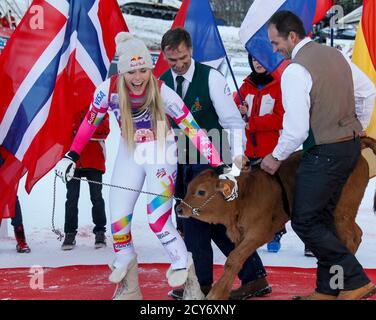 Lindsey Vonn of the U.S. poses for photographers with a cow she won as a prize after finishing first in the women's World Cup Downhill skiing race in Val d'Isere, French Alps, December 20, 2014.  REUTERS/Robert Pratta   (FRANCE - Tags: SPORT SKIING ANIMALS)