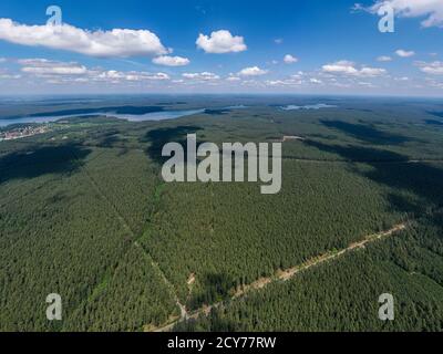 Vue aérienne de la grande forêt et du lac Biale éloigné Augustowskie Banque D'Images