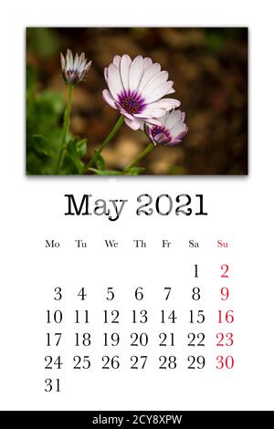 Carte de calendrier pour le mois de mai 2021 Banque D'Images