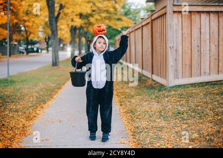 Trick or Treat. Joyeux enfant garçon avec de la citrouille rouge sur la tête. Enfant qui va se gâter ou se tromper pendant les vacances d'Halloween. Mignon garçon en costume de panda de fête avec baske Banque D'Images